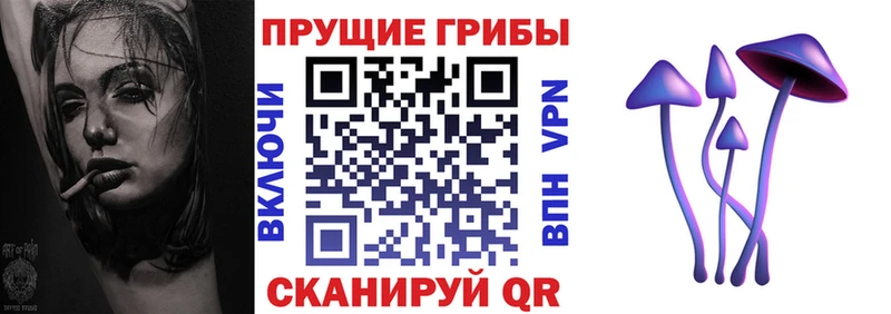 купить наркотик  Далматово  Галлюциногенные грибы мицелий 